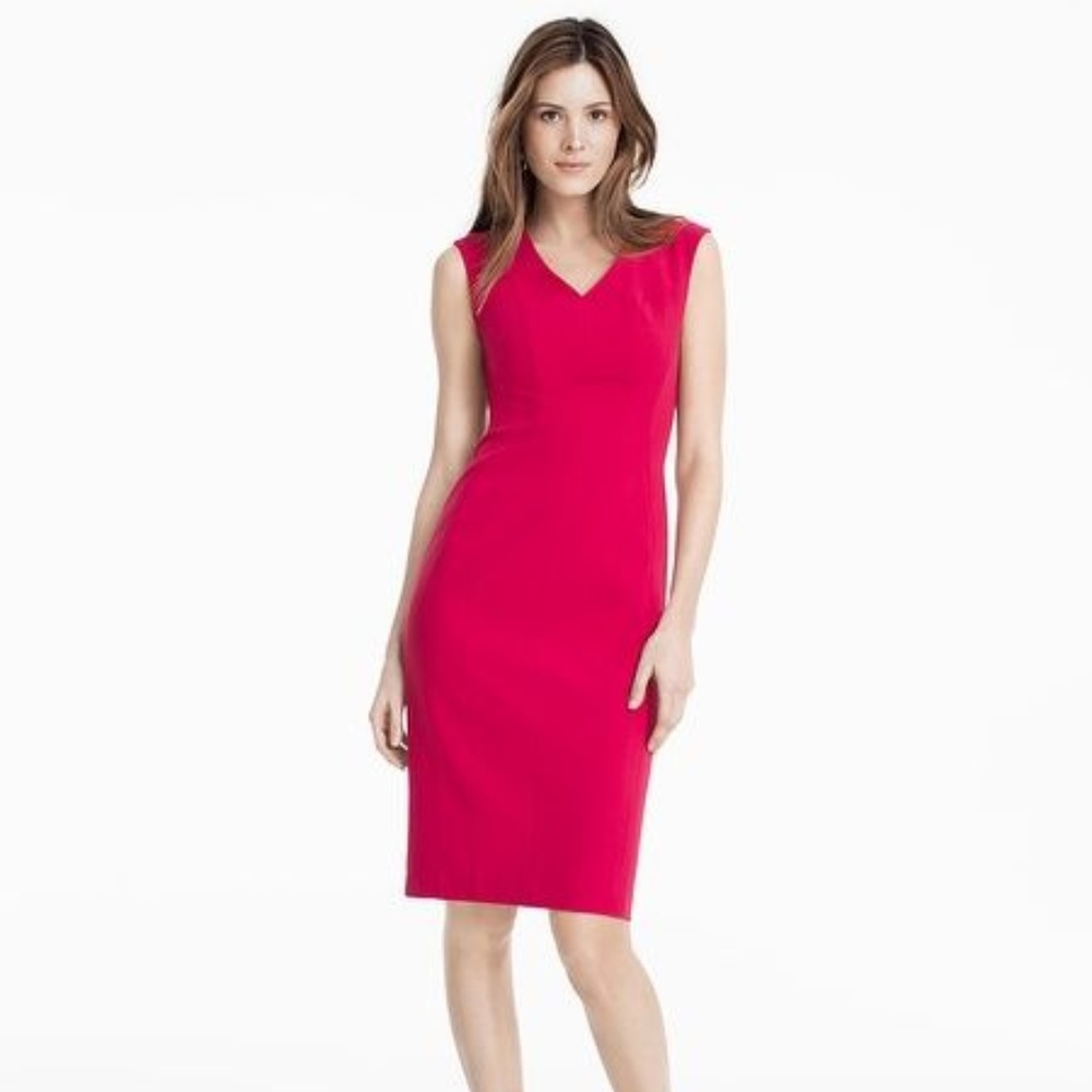 V neck seamed sheath rosey dress